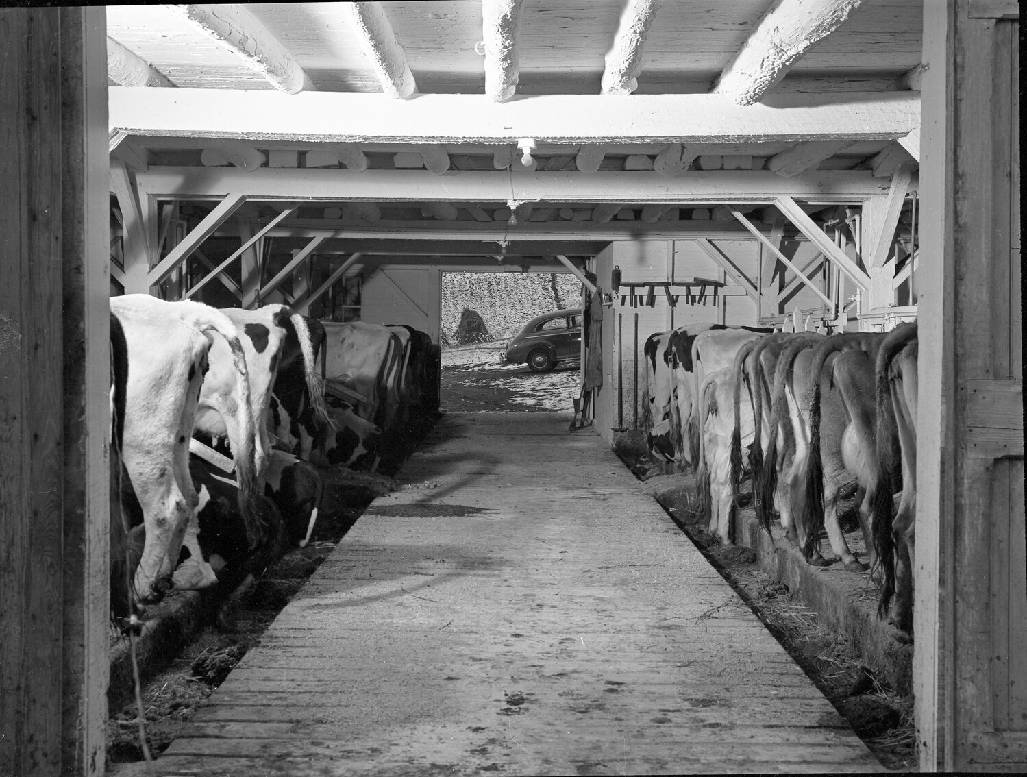 Interior of a Delaware County barn, 1941.